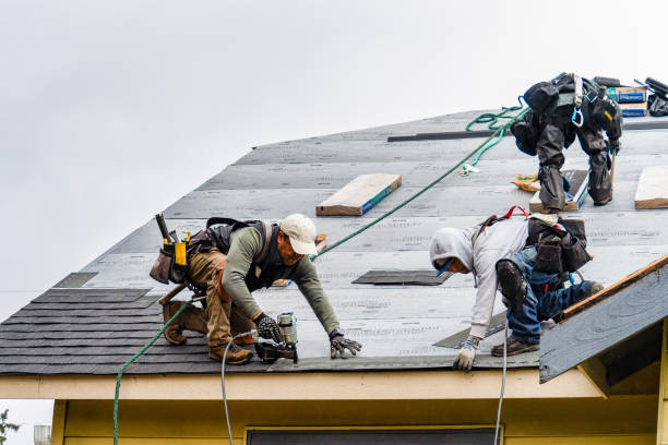 Professional Storm Damage Roof Repair technician working in Weslaco, TX